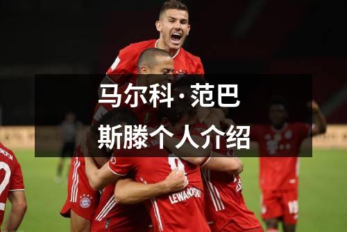 马尔科·范巴斯滕个人介绍