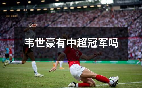 韦世豪有中超冠军吗