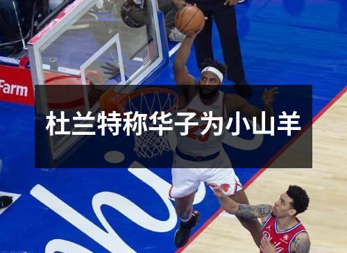 杜兰特称华子为小山羊