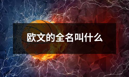 欧文的全名叫什么
