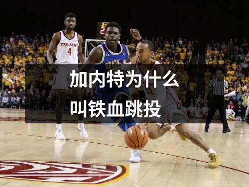 加内特为什么叫铁血跳投