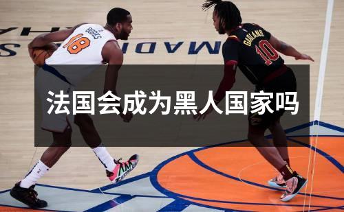 法国会成为黑人国家吗