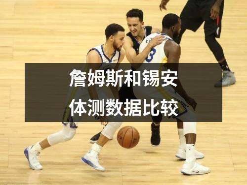 詹姆斯和锡安体测数据比较