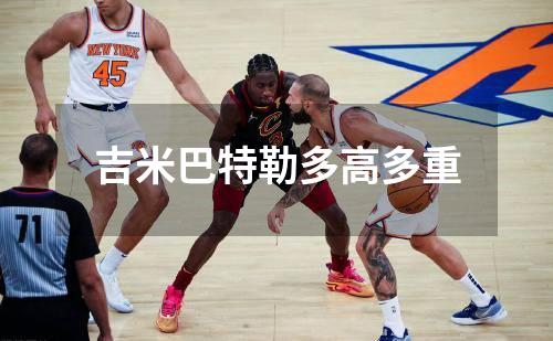 吉米巴特勒多高多重