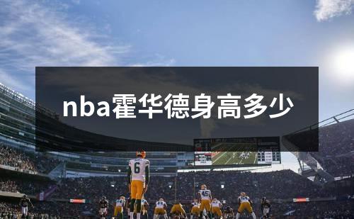 nba霍华德身高多少