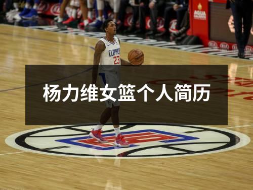杨力维女篮个人简历
