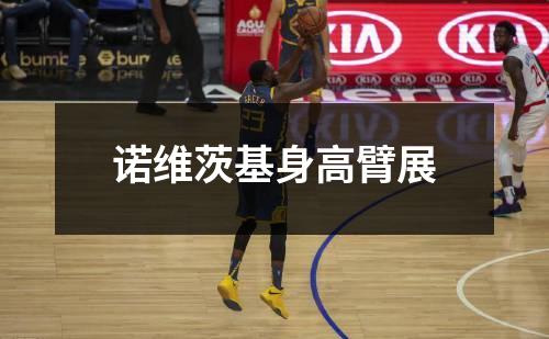 诺维茨基身高臂展