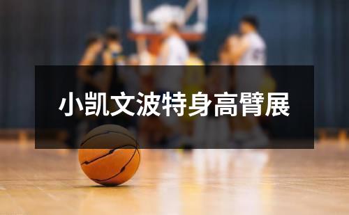 小凯文波特身高臂展