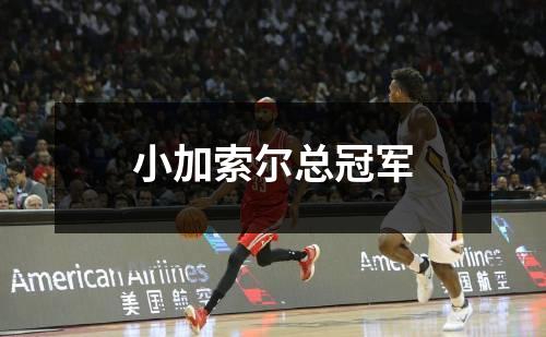 小加索尔总冠军