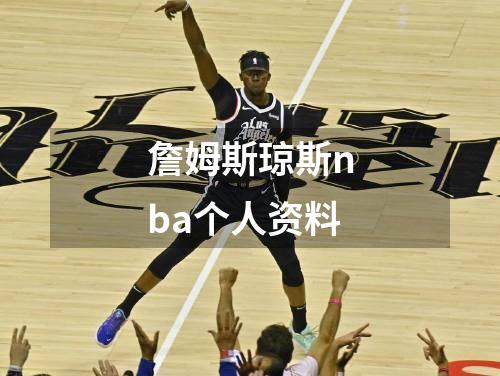 詹姆斯琼斯nba个人资料