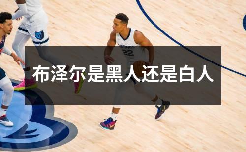布泽尔是黑人还是白人