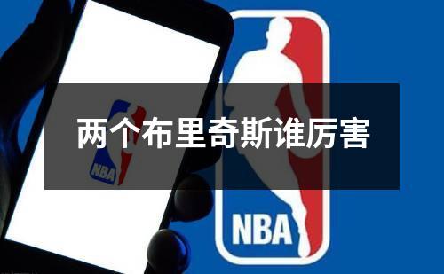 两个布里奇斯谁厉害