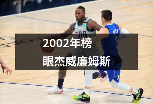 2002年榜眼杰威廉姆斯