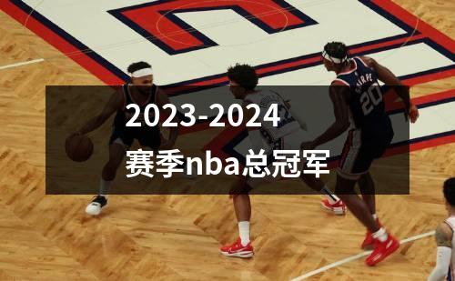 2023-2024赛季nba总冠军