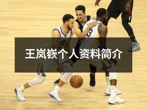 王岚嵚个人资料简介